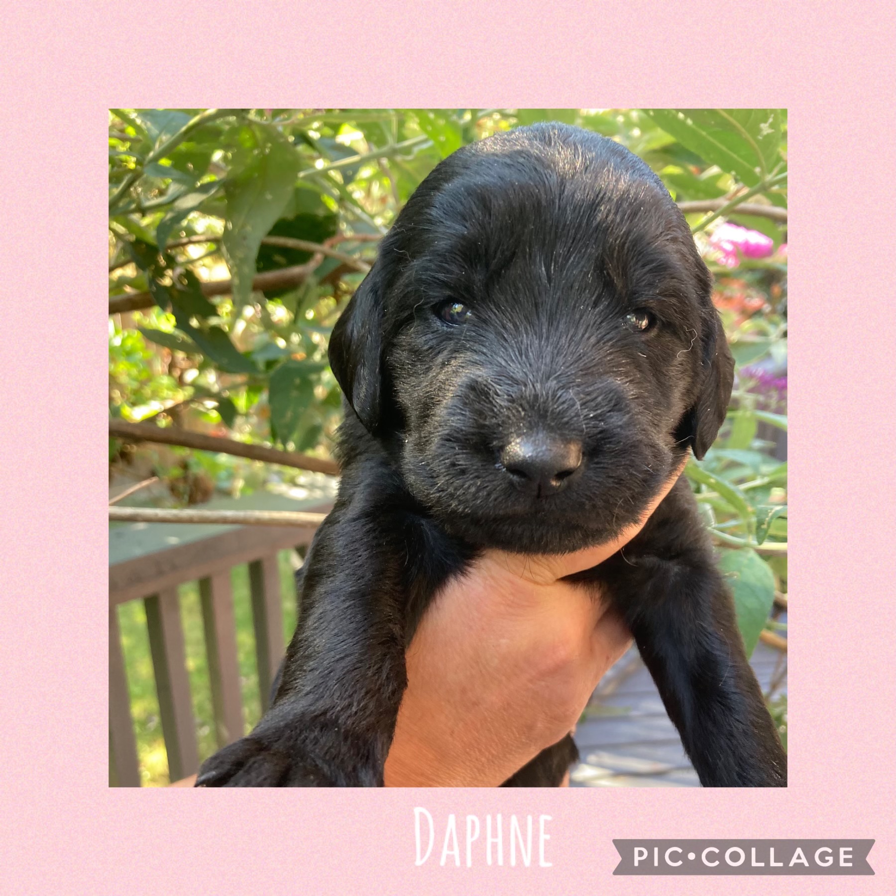 Tanya holding Daphne